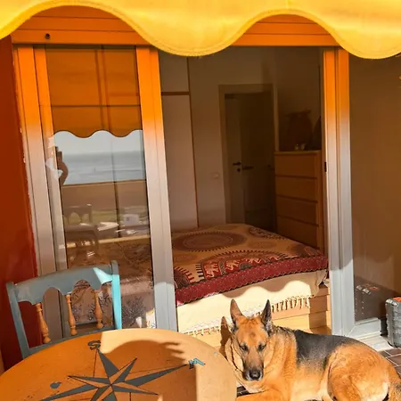 La Casa Di Loki E Shiva 