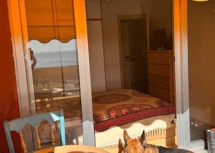 La Casa Di Loki E Shiva 